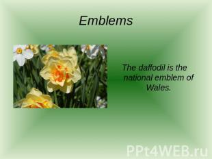Emblems The daffodil is the national emblem of Wales.