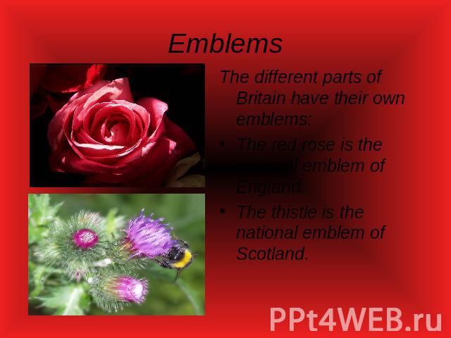 Emblems The different parts of Britain have their own emblems:The red rose is the national emblem of England. The thistle is the national emblem of Scotland.