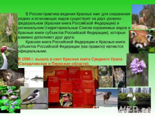 В России практика ведения Красных книг для сохранения редких и исчезающих видов