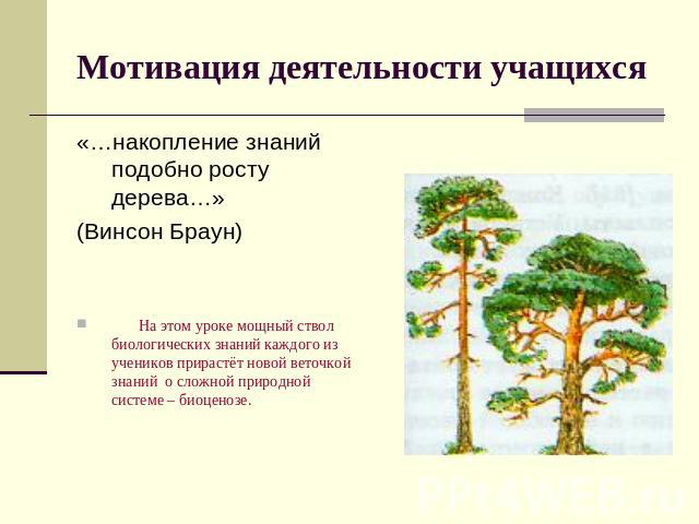 Мотивация деятельности учащихся «…накопление знаний подобно росту дерева…»(Винсон Браун) На этом уроке мощный ствол биологических знаний каждого из учеников прирастёт новой веточкой знаний о сложной природной системе – биоценозе.