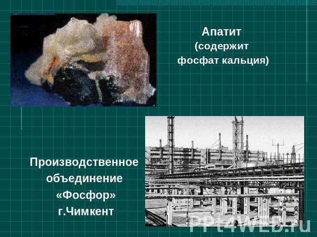 Апатит (содержит фосфат кальция)Производственное объединение «Фосфор»г.Чимкент