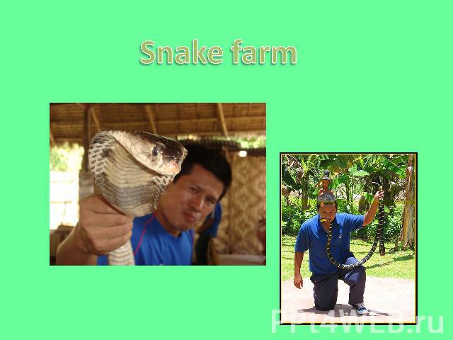 Snake farm