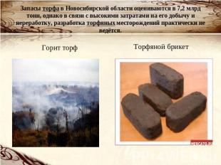 Запасы торфа в Новосибирской области оцениваются в 7,2 млрд тонн, однако в связи