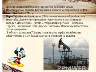 Добыча нефти и природного газа ведется на северо-западе Новосибирской области. К