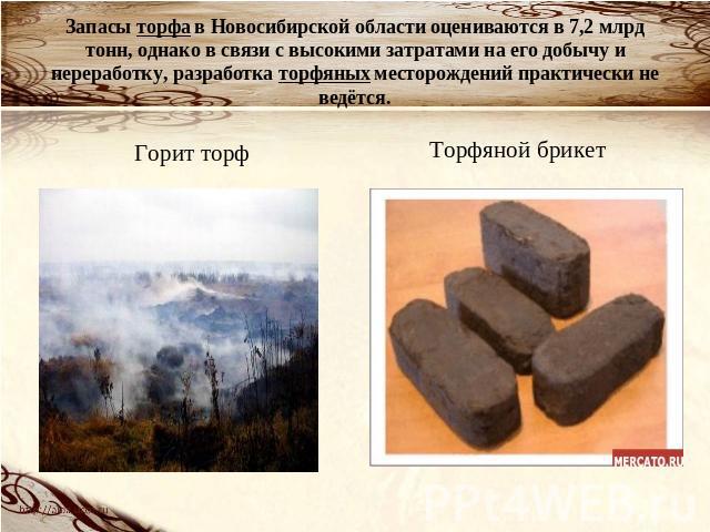 Запасы торфа в Новосибирской области оцениваются в 7,2 млрд тонн, однако в связи с высокими затратами на его добычу и переработку, разработка торфяных месторождений практически не ведётся. Горит торфТорфяной брикет