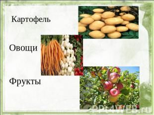 Картофель ОвощиФрукты