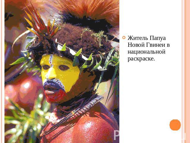 Житель Папуа Новой Гвинеи в национальной раскраске.