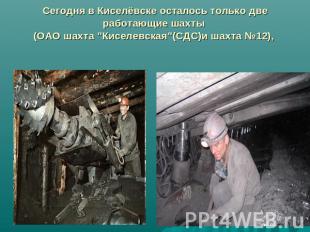Сегодня в Киселёвске осталось только две работающие шахты (ОАО шахта "Киселевска