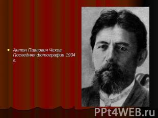 Антон Павлович Чехов. Последняя фотография 1904 г.