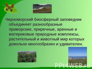 Черноморский биосферный заповедник объединяет разнообразные приморские, приречны