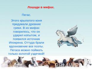 Ю. СтанишевскийПегас.Этого крылатого коня придумали древние греки. В их мифах го