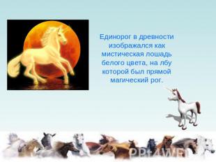 Единорог в древности изображался как мистическая лошадь белого цвета, на лбу кот
