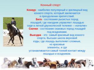 Конный спортКонкур - наиболее популярный и зрелищный вид конного спорта, который