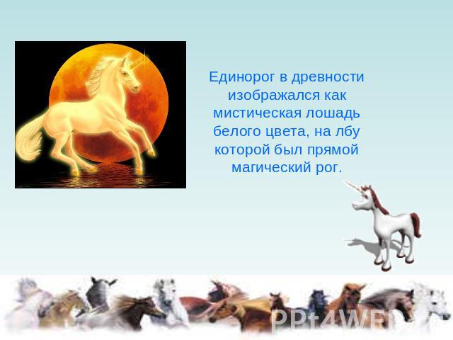 Единорог в древности изображался как мистическая лошадь белого цвета, на лбу которой был прямой магический рог.