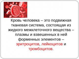 Кровь человека – это подвижная тканевая система, состоящая из жидкого межклеточн