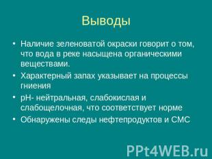 Выводы Наличие зеленоватой окраски говорит о том, что вода в реке насыщена орган