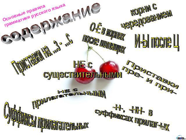 Основные правилаграмматики русского языкасодержание