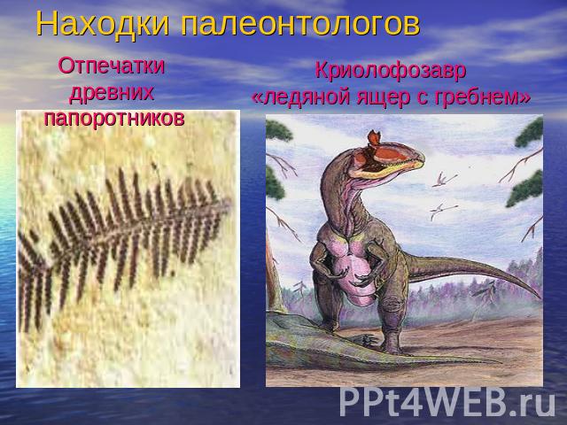 Находки палеонтологов Отпечатки древних папоротниковКриолофозавр«ледяной ящер с гребнем»