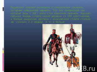 Рыцарских лошадей разводили в специальных конюшнях, которыми заведовали маршалы.