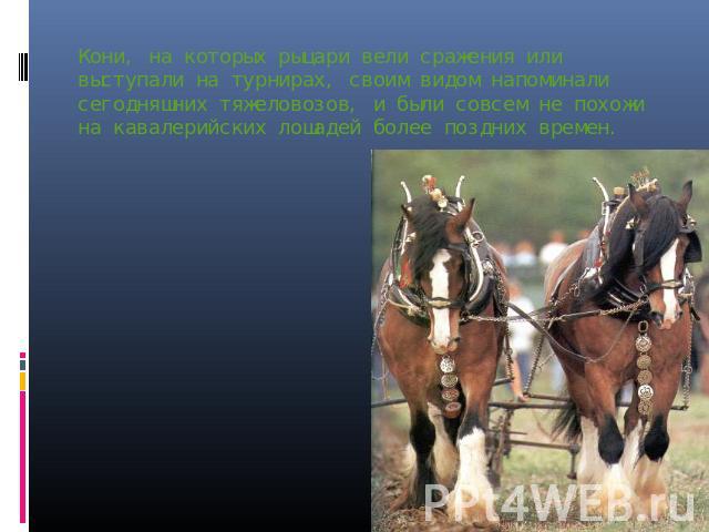 Кони, на которых рыцари вели сражения или выступали на турнирах, своим видом напоминали сегодняшних тяжеловозов, и были совсем не похожи на кавалерийских лошадей более поздних времен.