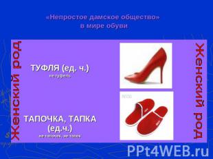 «Непростое дамское общество» в мире обуви