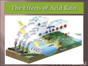 The Effects of Acid Rain
