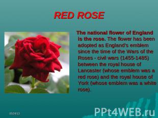 RED ROSE The national flower of England is the rose. The flower has been adopted