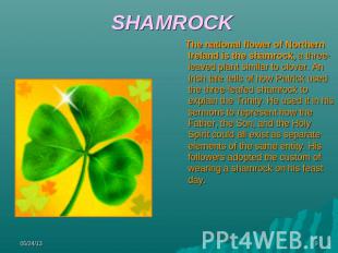 SHAMROCK The national flower of Northern Ireland is the shamrock, a three-leaved