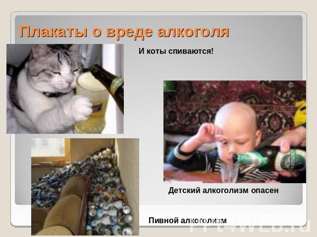 Плакаты о вреде алкоголя И коты спиваются!Детский алкоголизм опасенПивной алкоголизм