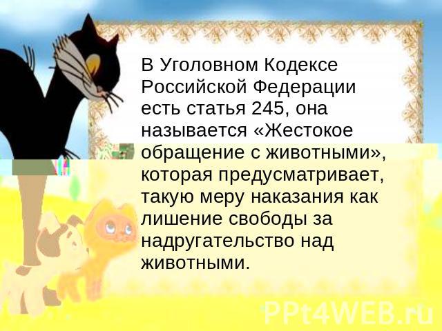 В Уголовном Кодексе Российской Федерации есть статья 245, она называется «Жестокое обращение с животными», которая предусматривает, такую меру наказания как лишение свободы за надругательство над животными.