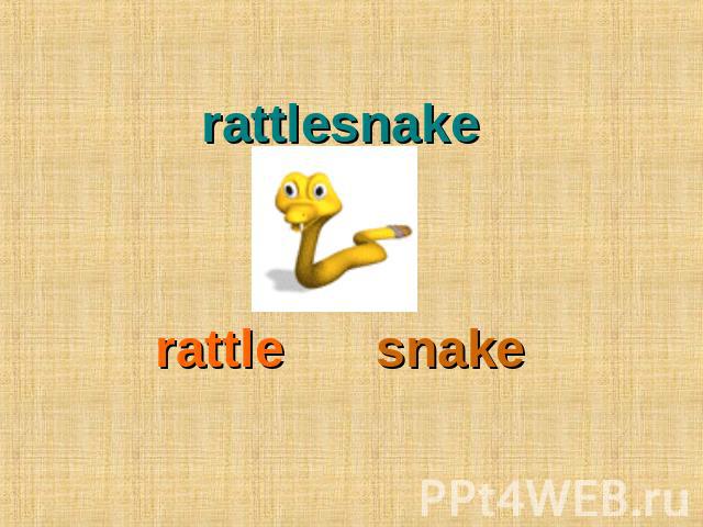 rattlesnake rattle snake