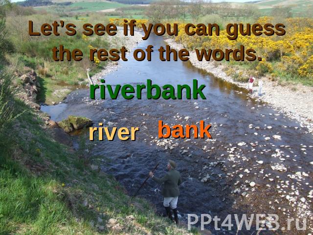Let’s see if you can guess the rest of the words. riverbankriverbank