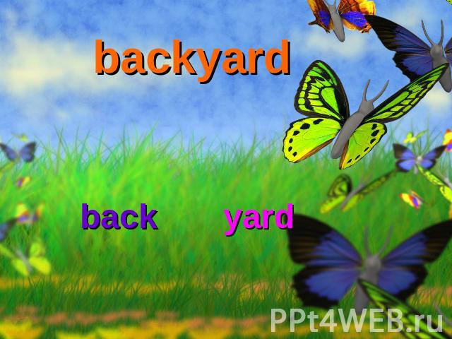 backyard back yard
