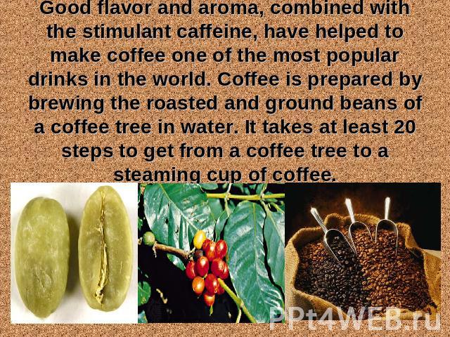 Good flavor and aroma, combined with the stimulant caffeine, have helped to make coffee one of the most popular drinks in the world. Coffee is prepared by brewing the roasted and ground beans of a coffee tree in water. It takes at least 20 steps to …