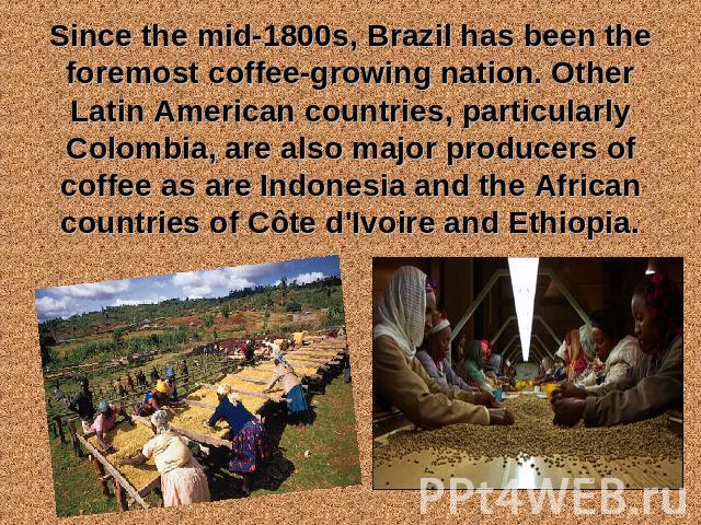 Since the mid-1800s, Brazil has been the foremost coffee-growing nation. Other Latin American countries, particularly Colombia, are also major producers of coffee as are Indonesia and the African countries of Côte d'Ivoire and Ethiopia.