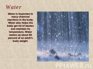 Water Water is important in many chemical reactions in the body. Water also help
