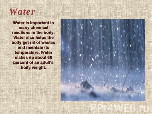 Water Water is important in many chemical reactions in the body. Water also helps the body get rid of wastes and maintain its temperature. Water makes up about 60 percent of an adult's body weight.