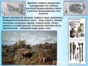 Древние славяне занимались земледелием. Из хлебных растений возделывались просо