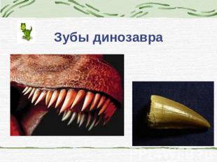 Зубы динозавра