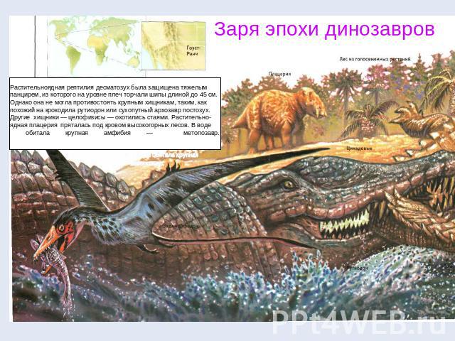 Заря эпохи динозавров Растительноядная рептилия десматозух была защищена тяжелым панцирем, из которого на уровне плеч торчали шипы длиной до 45 см. Однако она не могла противостоять крупным хищникам, таким, как похожий на крокодила рутиодон или сухо…