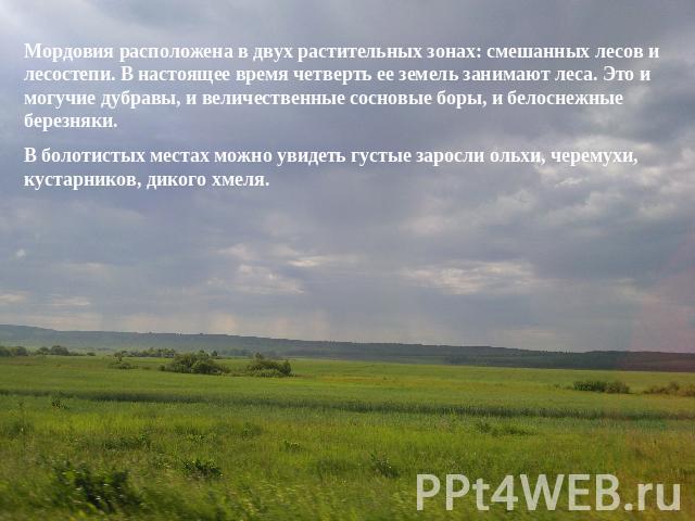 Мордовия расположена в двух растительных зонах: смешанных лесов и лесостепи. В настоящее время четверть ее земель занимают леса. Это и могучие дубравы, и величественные сосновые боры, и белоснежные березняки.В болотистых местах можно увидеть густые …