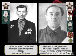 Голубев Василий Григорьевич, награждён орденом Красной Звездыи медалью За отвагу