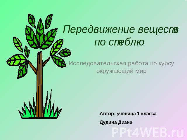 Передвижение веществ по стеблю Исследовательская работа по курсу окружающий мирАвтор: ученица 1 класса Дудина Диана