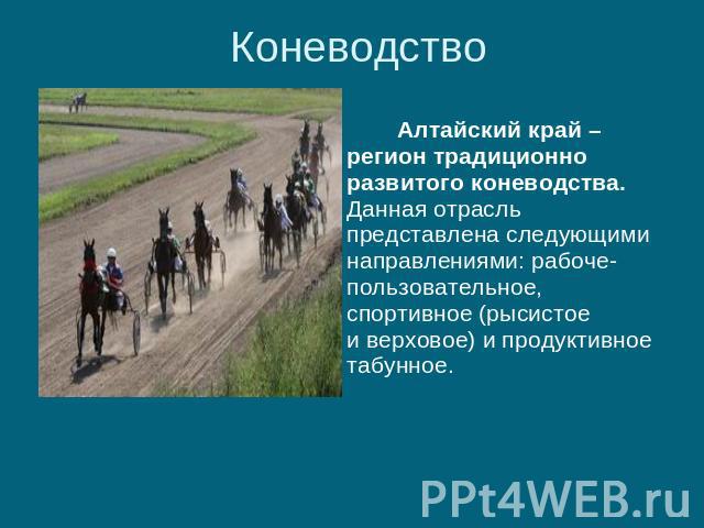 Коневодство Алтайский край – регион традиционно развитого коневодства. Данная отрасль представлена следующими направлениями: рабоче-пользовательное, спортивное (рысистое и верховое) и продуктивное табунное.