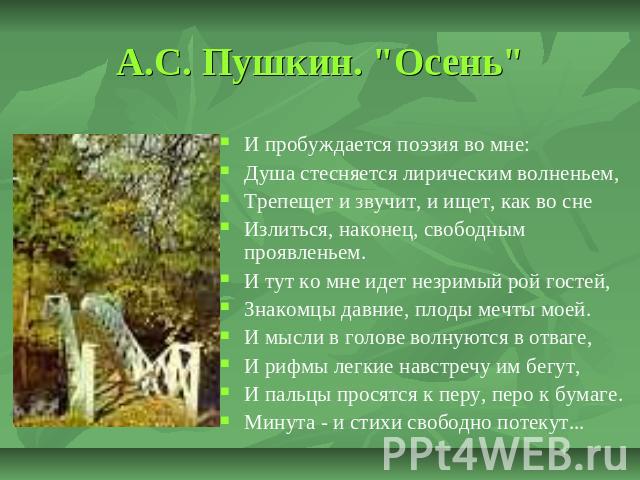 А.С. Пушкин. 