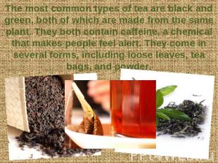 The most common types of tea are black and green, both of which are made from th