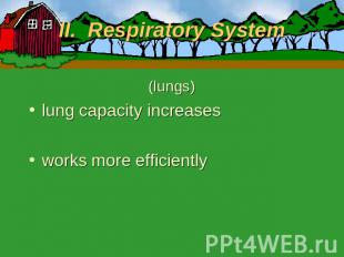 II. Respiratory System (lungs)lung capacity increasesworks more efficiently