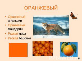 ОРАНЖЕВЫЙ Оранжевый апельсинОранжевый мандаринРыжая лисаРыжая бабочка
