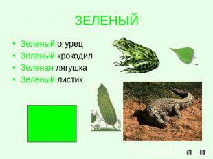 ЗЕЛЕНЫЙ Зеленый огурецЗеленый крокодилЗеленая лягушкаЗеленый листик