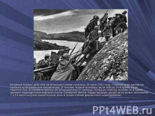 Активные боевые действия на Кольском Севере начались 29 июня 1941 года. Главный